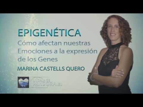 Vídeo: Herencia Epigenética Transgeneracional De Transcriptomas Somáticos Y Regiones De Control Epigenético