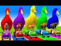 Long Slide Game With Cow Elephant Gorilla Hippopotamus Tiger 3d Animal Game Funny 3d Animals