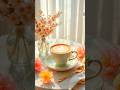 Prends quelques secondes pour toi... ☕🌸