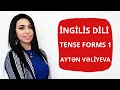 İNGİLİS DİLİ (Tense Forms 1)