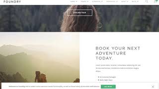 Famous Foundry - Multipurpose, Multi-Concept WP Theme Wealth