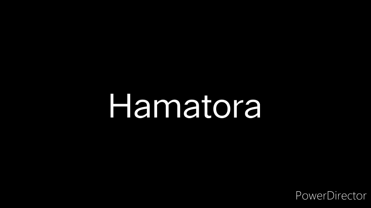 Hamatora Review