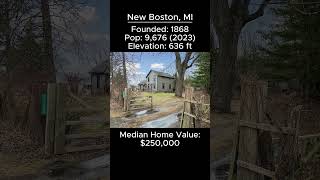 Random US Towns: New Boston, MI #shorts