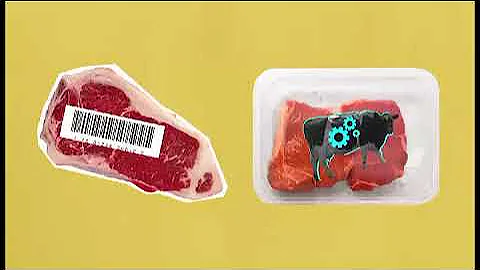 ¿Se puede comer carne falsa?