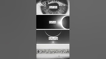 سورة القيامة_ماهر المعيقلي #اكسبلور #قرآن #المصحف #quran #لايك