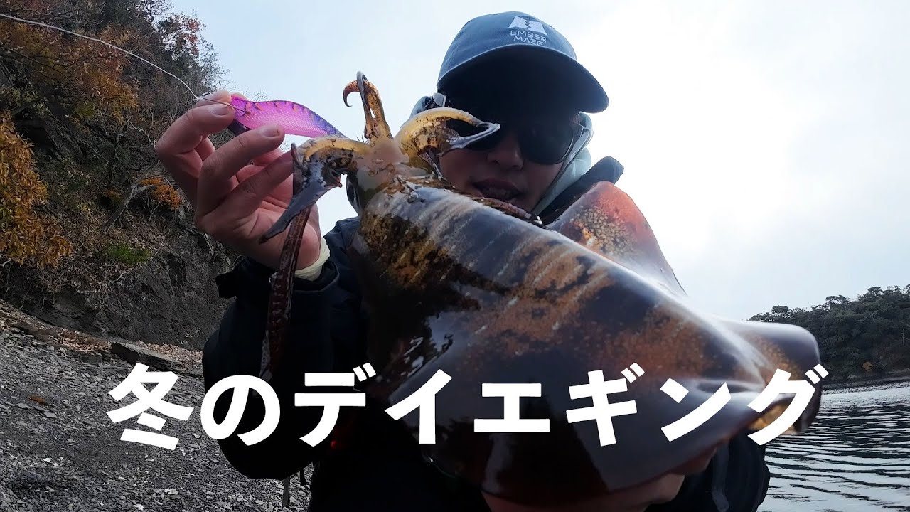 エギング】冬のデイエギング【エンバーメイズ】 - YouTube