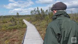 A tour with Orono Bog Boardwalk founder Ron Davis