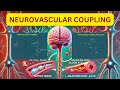 How Your Brain Communicates with Your Blood Vessels