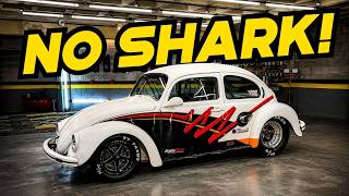 AGORA AZEDOU! MAIS UMA PEDREIRA NO SHARK TANK DA 43