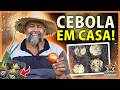 Plantio de CEBOLA em casa sem usar SEMENTES 