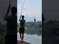 Casting to the beat... #shorts #carpfishing #carp #karp #specimenangling