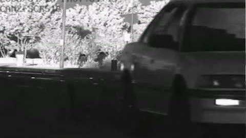 License Plate Capture Camera