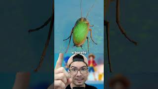 A ÚNICA FORMA DE DERROTAR UMA SUPER BARATA