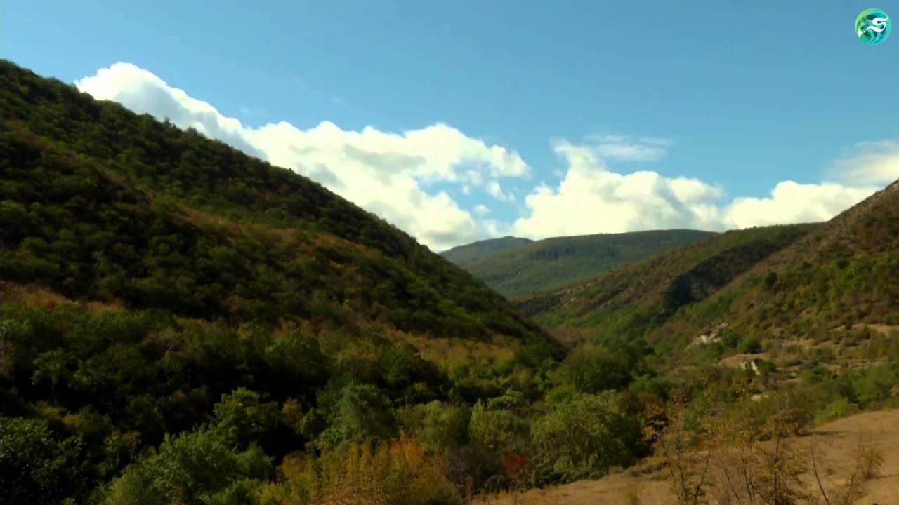 Panasonic AJ-HPX3100GJ P2 HD