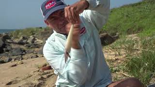 How to rig a Whole chokka Cast Bait Floated