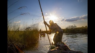 Into The Okavango (Trailer) - Green Film Fest 2018