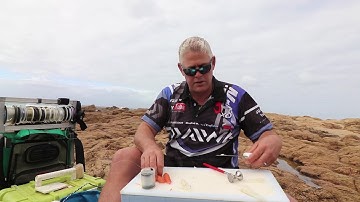 Top Scratching Bait | Chokka Langostine | ASFN Baits & Traces