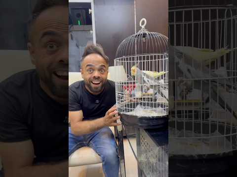 مشهور غبي في مشفى المجانين 