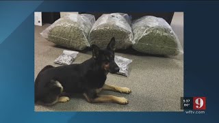 Video: Deputies bust drug pipeline extending from coast to coast in Ocala