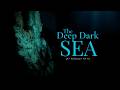 Deep Sea Mysteries: Creatures of the Dark π