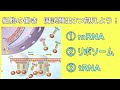 358医学｢細胞の働き 大切な3つを覚えよう(mRNA)(tRNA)(リボソーム)｣看護学生講座