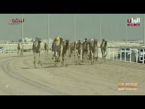 ش2 مبلش لـ جابر سالم جابر الجربوعي مهرجان المؤسس 28 11 2023م الخنجر الفضي جذاع قعدان مفتوح 9 04 99