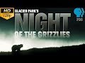Glacier parks night of the grizzlies  pbs documentary 