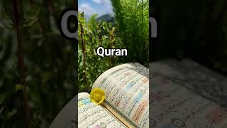 SURAH AL-ANBIYA URDU TRANSLATION #quran #viralvideo #shortvideo #surahanbiya #shorts #islamicstatus