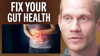 Neuroscientist: What You NEED To Know For Better Gut Health | Dr. Tommy Wood