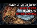 Why Humans Need More Sleep Than Any Other Animal | History for Sleep