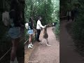 kangaroo fighting human