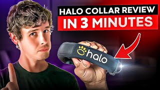 Halo Collar Reviews (3 min): Worth the Hype for Your Dog? by The Pampered Pup 175 views 2 weeks ago 2 minutes, 38 seconds