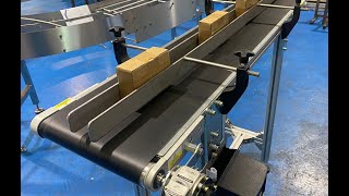 Flexible Side Guide Rails for Products - Conveyors with Black Belt  C Trak Ltd by C-Trak Conveyors 155 views 1 month ago 1 minute, 30 seconds