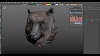 fuzzCard bear