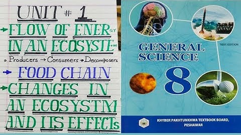 Grade 8 Unit 1 Food Chain, Flow of Energy in an ecosystem, Changes in an ecosystem and its Effects