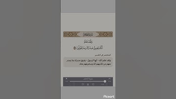 ﴿وَلَقَد نَعلَمُ أَنَّكَ يَضيقُ صَدرُكَ بِما يَقولونَ﴾ [الحجر: ٩٧] #سورة_الحجر
