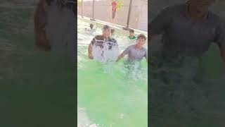 At Farm house #2026 #youtubeshorts #summer #poolparty #viral #trending #vibes #enjoy #memories