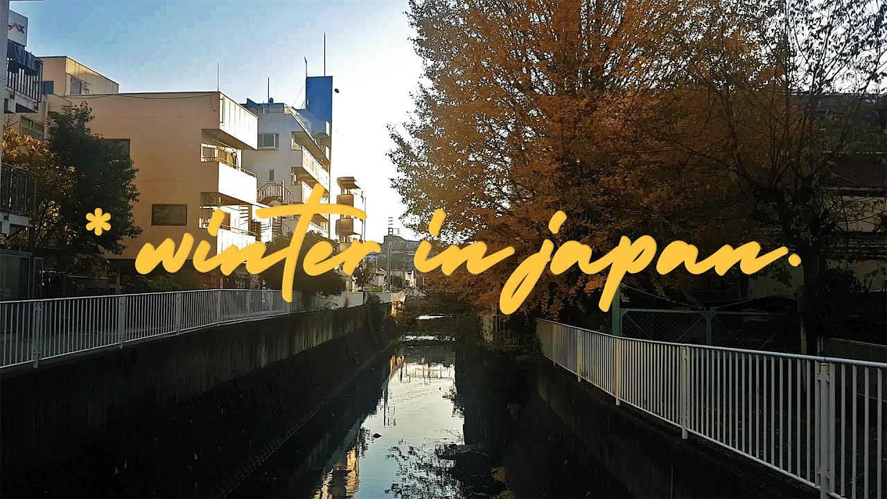 WINTER IN YOKOHAMA : Vlogging in Japan !
