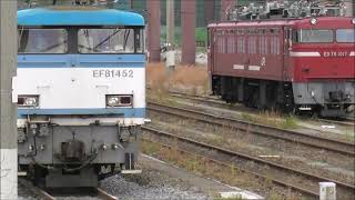 JR貨物　本線から貨物専門用線 EF81406形（鹿児島貨物ターミナルに入線風景）撮影日2022 12 11