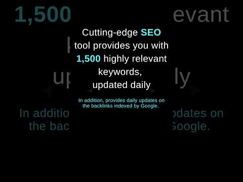 Seo Performance