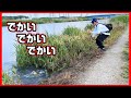 【超絶】5末、6月にバスを釣りたいなら、ただちにこの釣りをやってみて〜吉田撃流〜