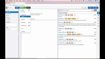 How to create an Angular app with PLunker