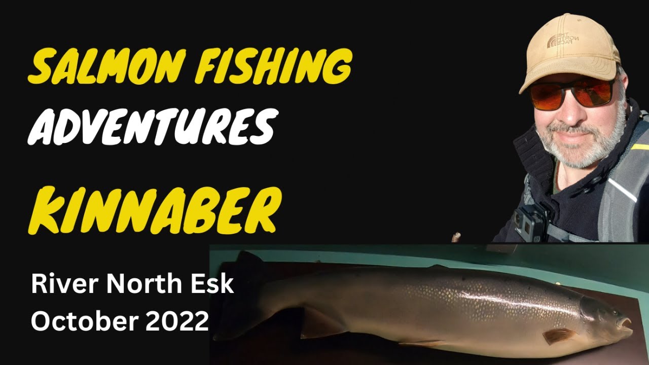 Salmon Fly Fishing | Kinnaber | River North Esk | October 2022 - YouTube