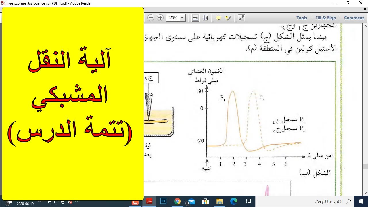 آلية النقل المشبكي (تتمة الدرس)