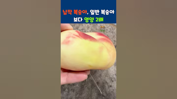 납작 복숭아, 일반 복숭아 보다 영양 2배 #건강 #음식