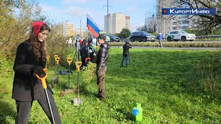Сестрорецк присоединился к всероссийской акции по восстановлению лесов