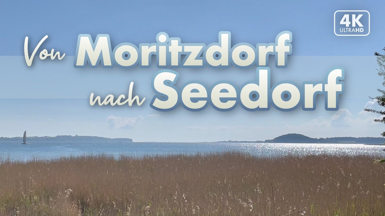 Von Moritzdorf nach Seedorf - Rügen Urlaub 2022 (4K Walk)