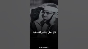 أكتب شئ تؤجر عليه | القران الكريم