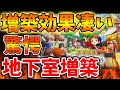 【牧場物語 風のグランドバザール】地下室増築の効果がエグ過ぎる、、、こんな凄いんかよ。。。。【攻略/龍の国/実況/マーベラス/ルーンファクトリー6/switch2/評価/感想