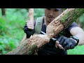 how a tactical knife cut a diameter 20cm tree down? let&#39;s check it out !